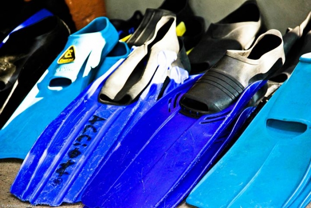  snorkel fins 